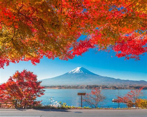 trip a deal holiday packages japan 2024